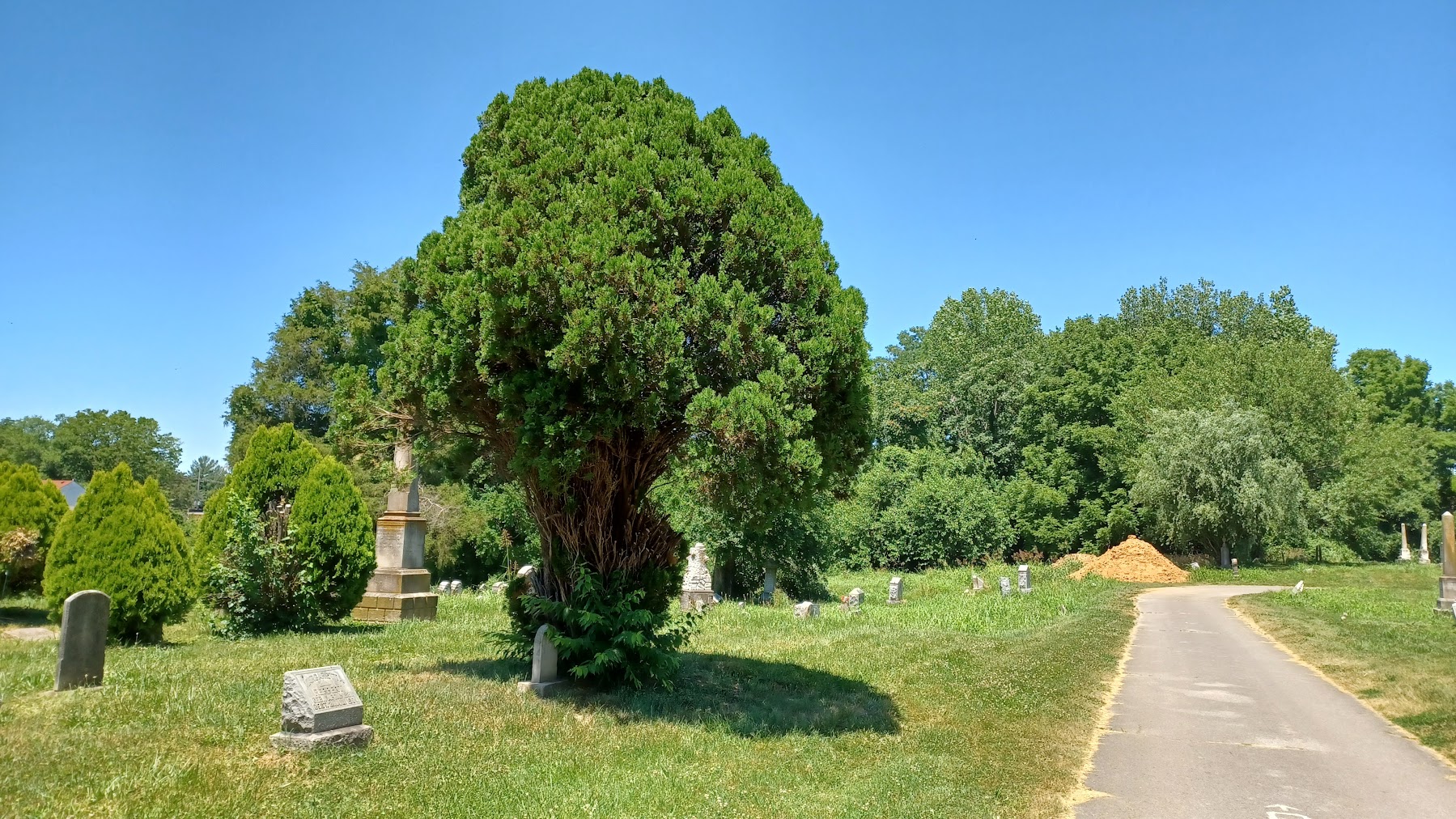 Eastern Cemetery photo 3